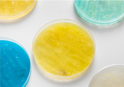 Jinan Zhongya Xincheng Import and Export Co., Ltd. 